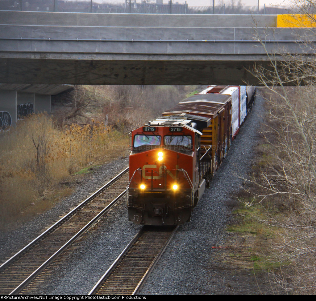 CN 2715